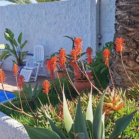 Paraiso Azul Villa