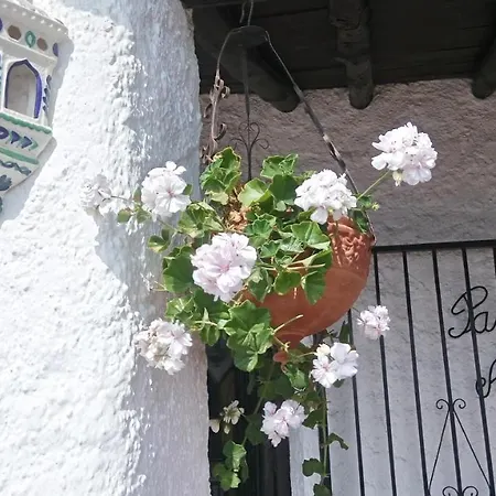 Paraiso Azul * Salobreña